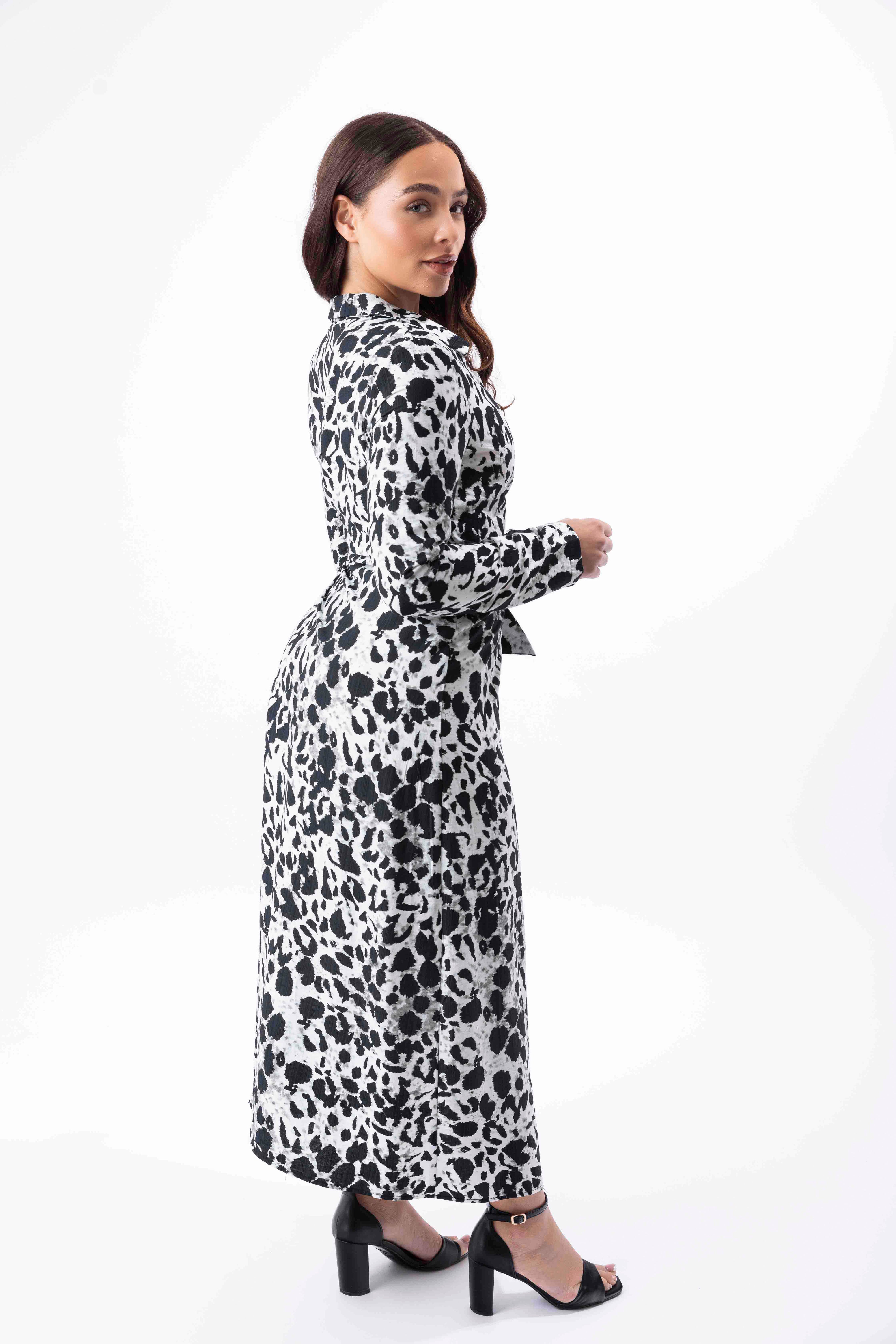 Animal Print Viscose Blend Long A-Line Wrap Dress-SinglePrice