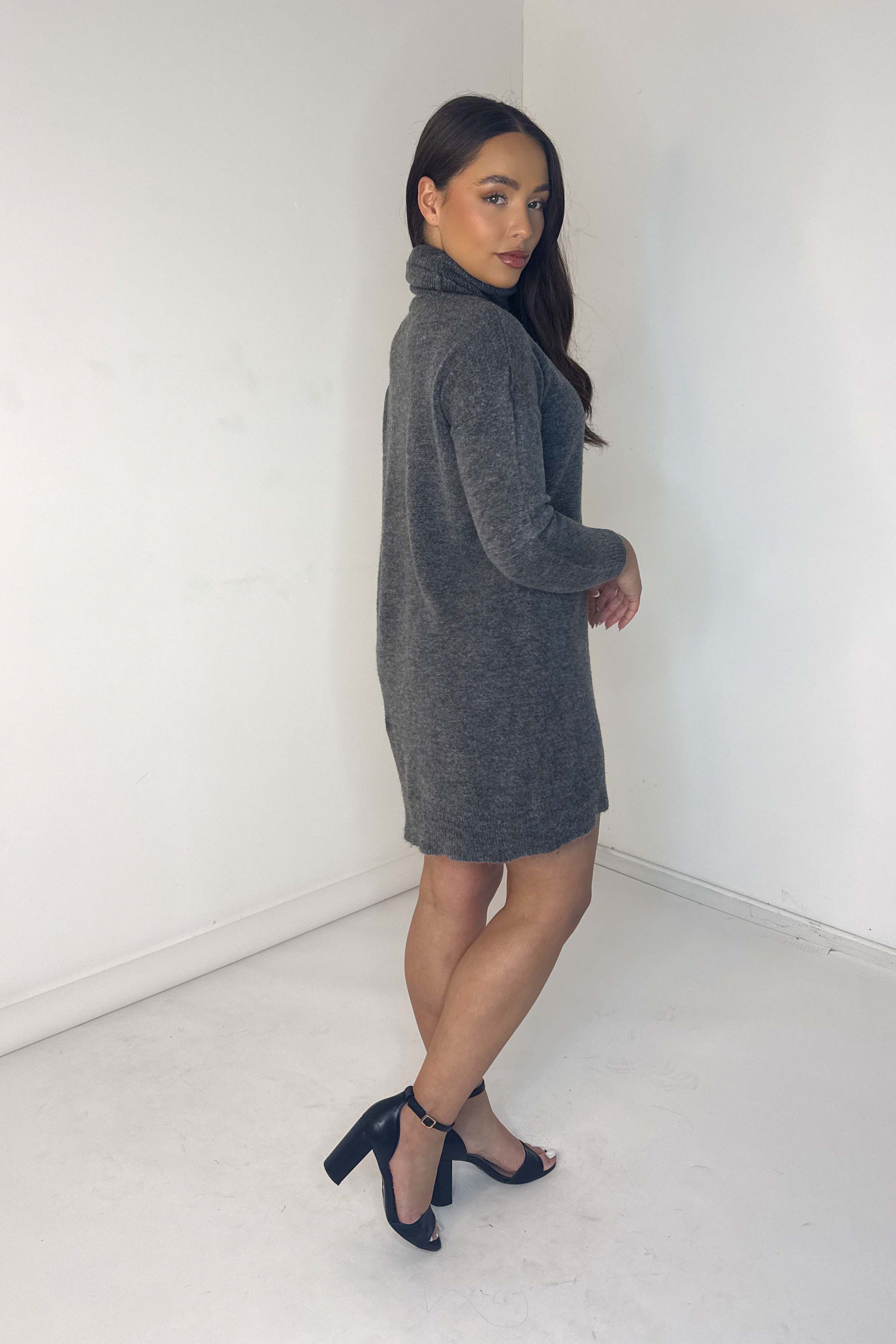 Relaxed Fit Knitted Turtle  Neck Jumper Dress